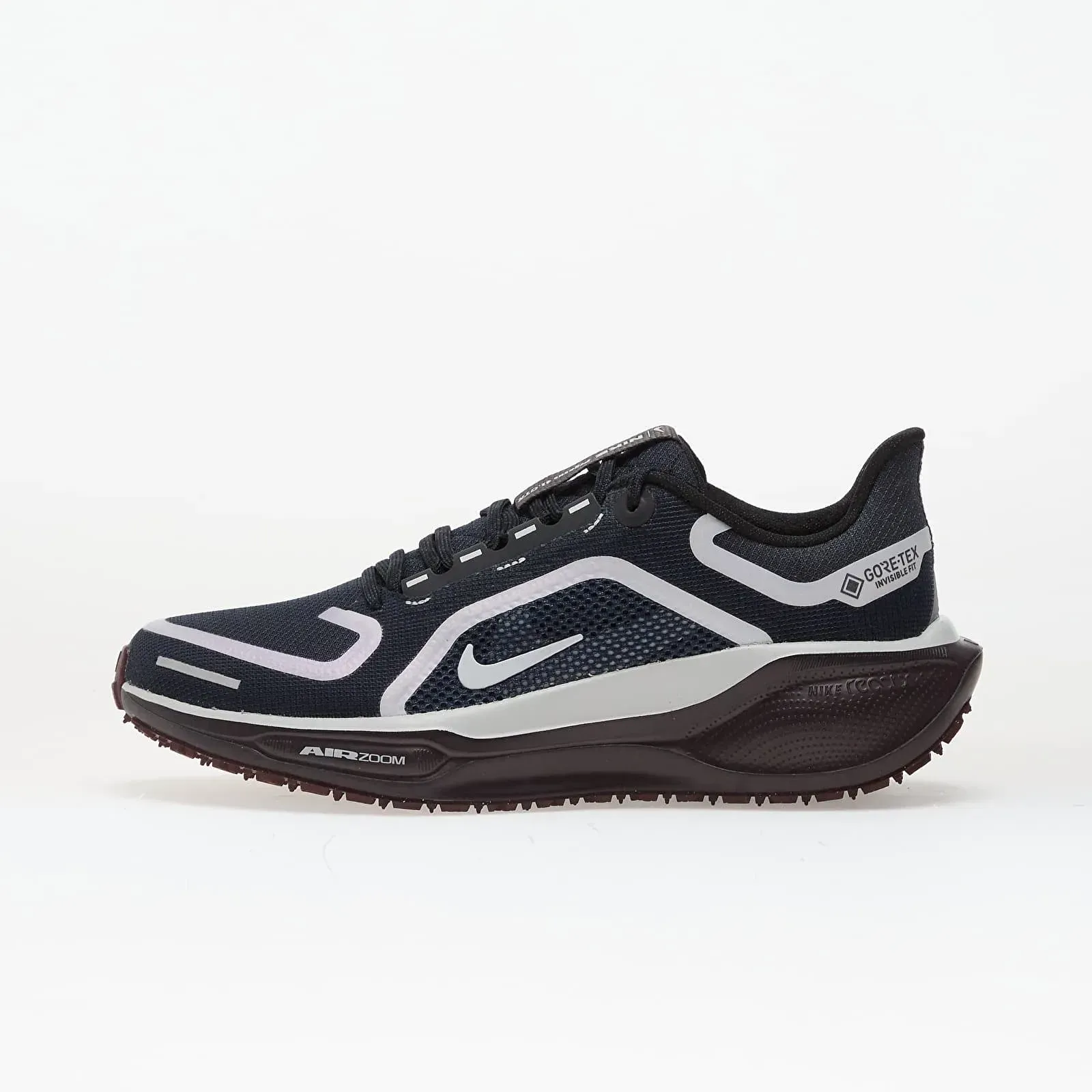 Кросівки жіночі Nike Pegasus 41 Gore-Tex (FQ1357-401)