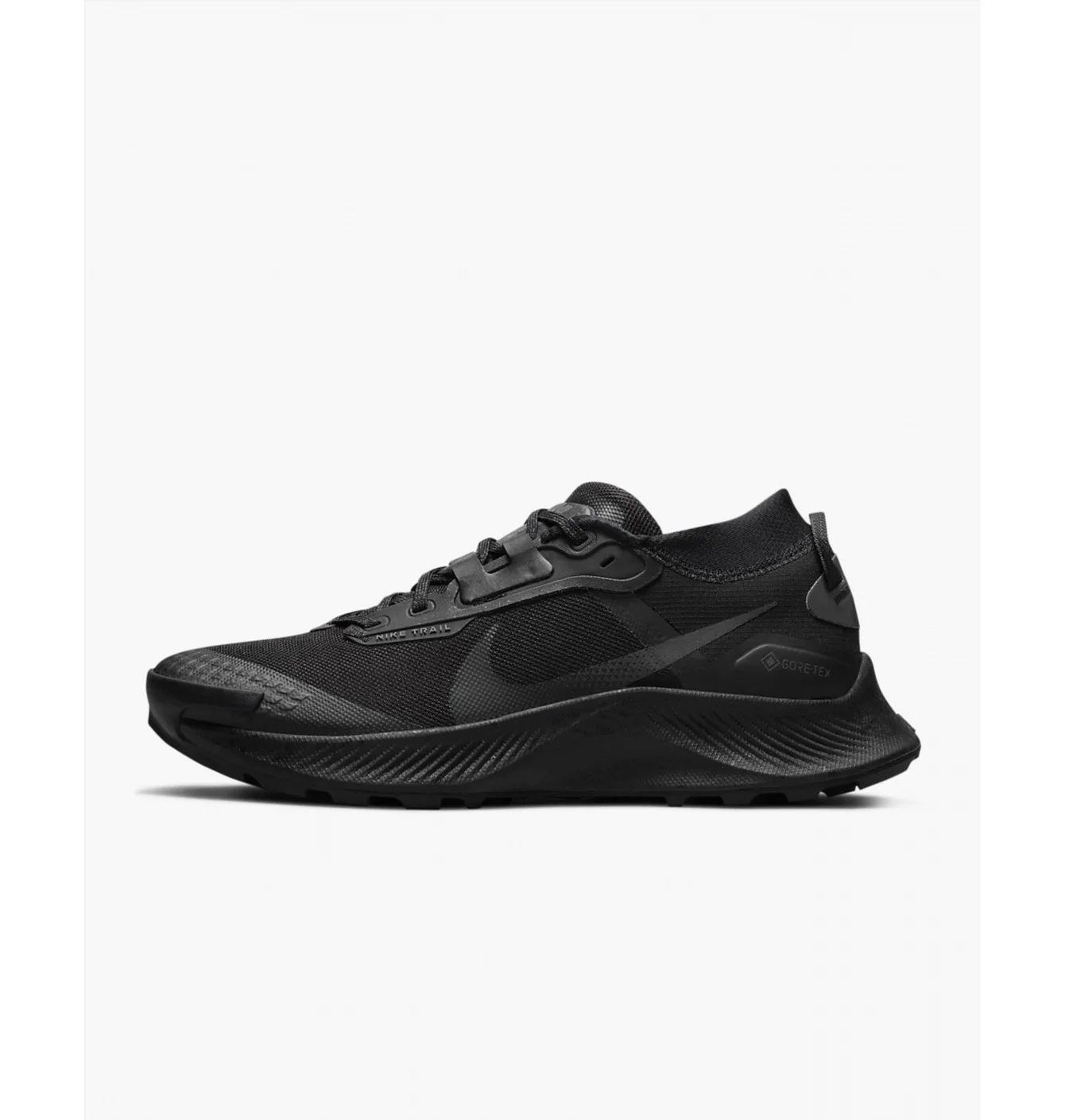 Кросівки жіночі Nike Pegasus Trail 3 Gtx Black DC8794-001