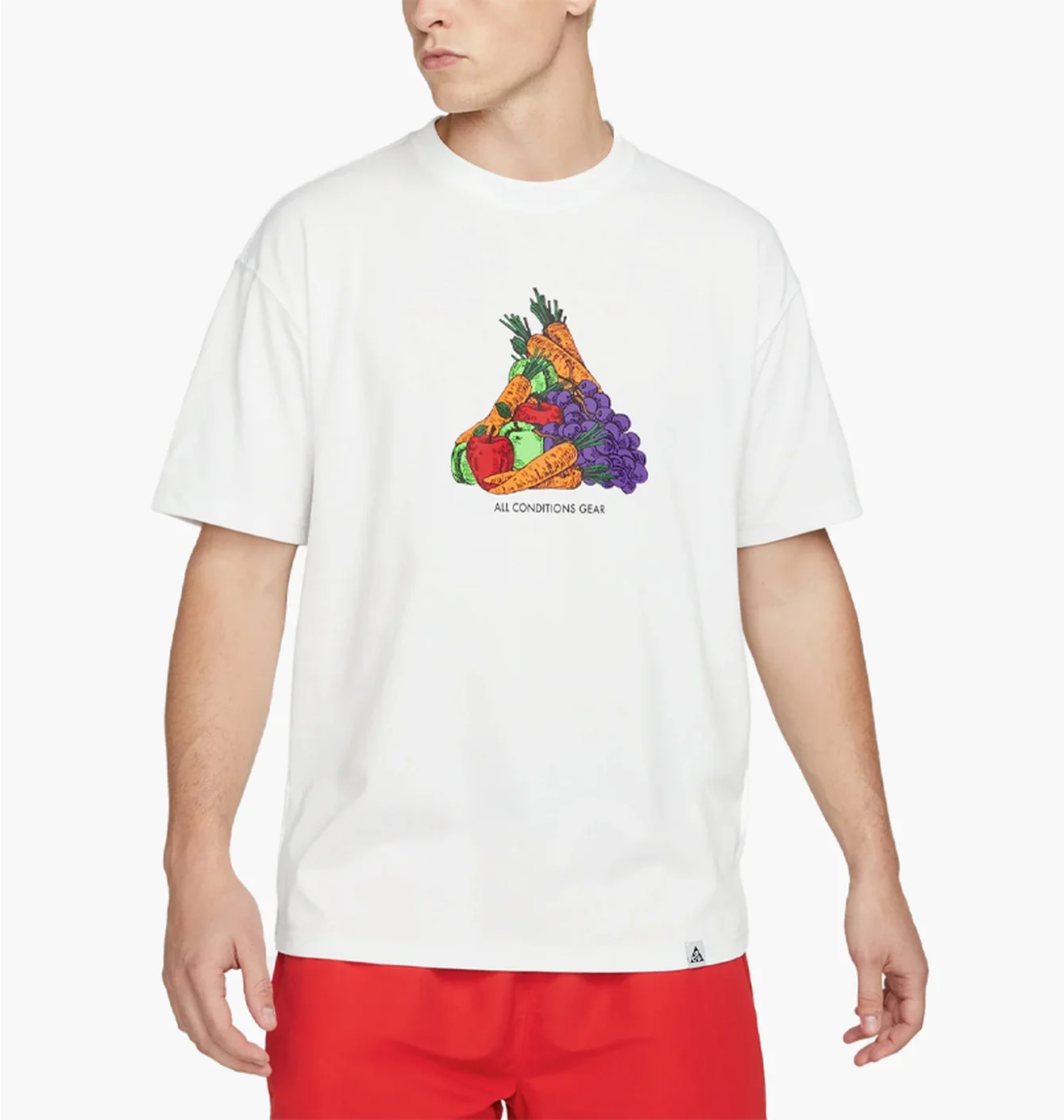 Футболка чоловіча Nike Acg Fruit & Veggies White DQ4954-121