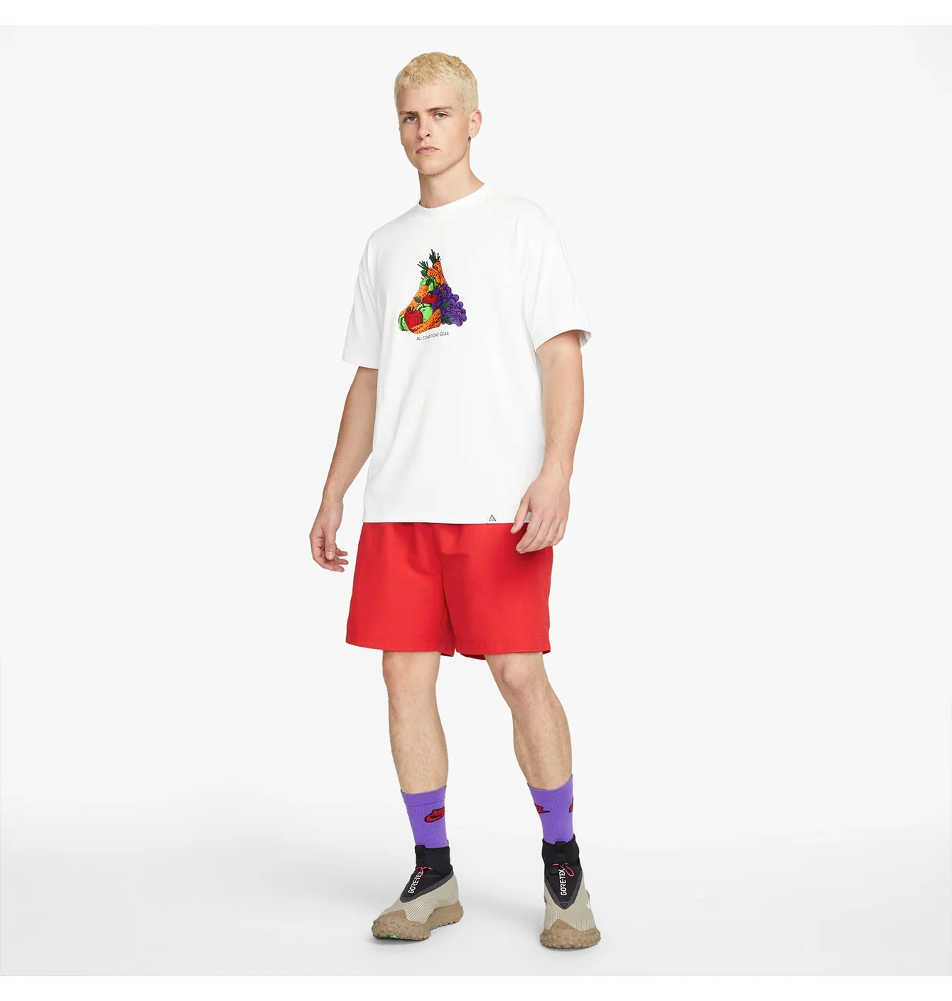 Футболка чоловіча Nike Acg Fruit & Veggies White DQ4954-121