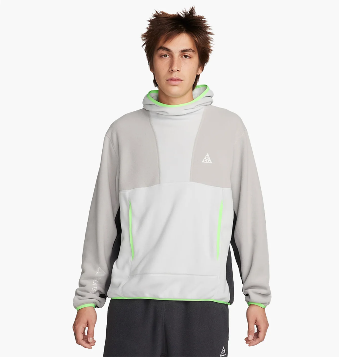 Худі чоловіче Nike Acg Wolf Tree Pullover Hoodie Grey FN0370-025