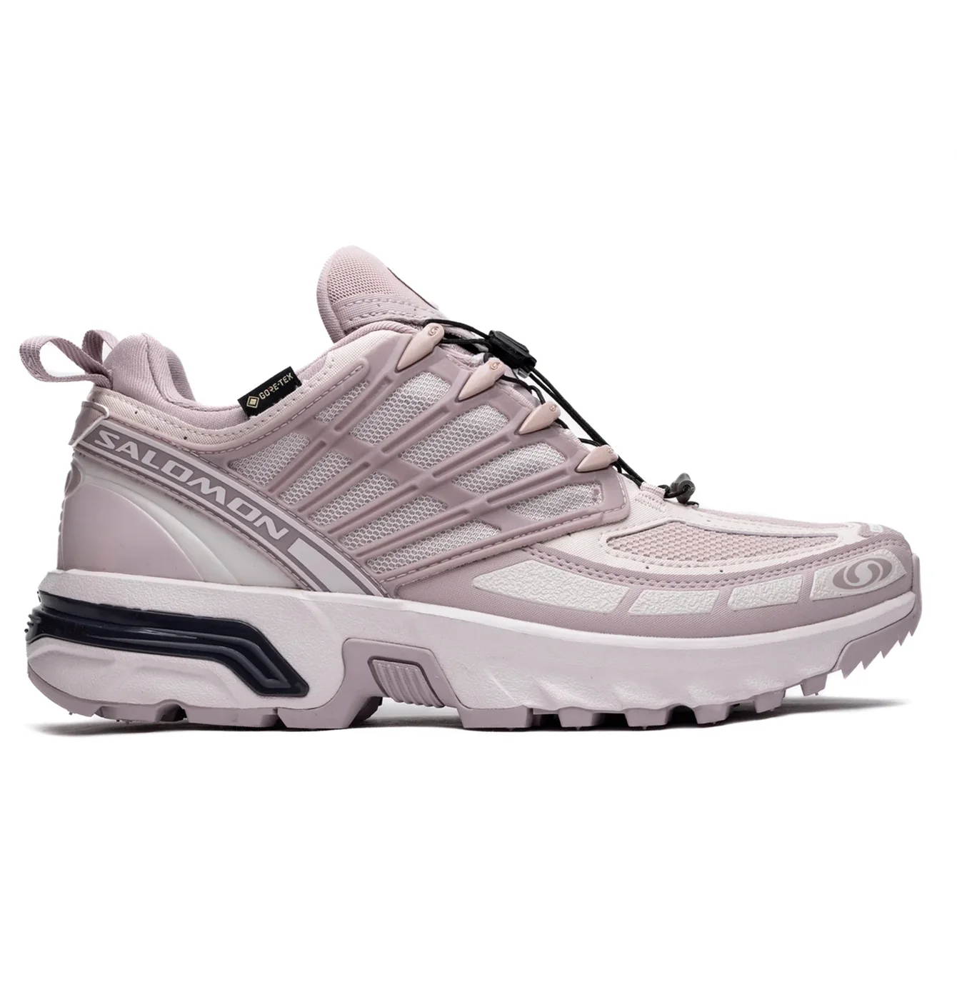Кросівки унісекс Salomon Acs Pro Gtx Violet L47599600