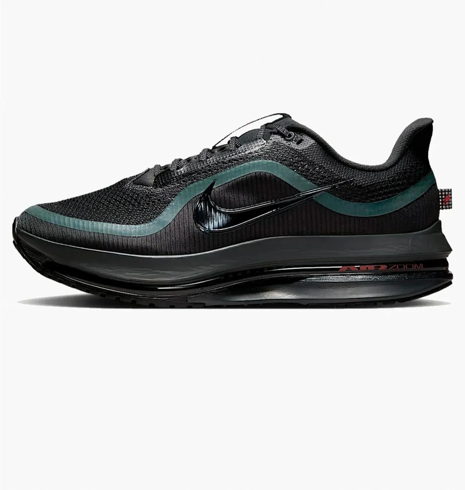 Кросівки чоловічі Nike Pegasus Premium Black (HQ2592-011)