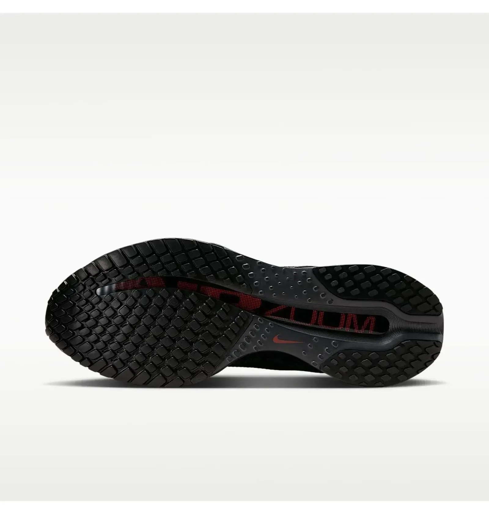 Кросівки чоловічі Nike Pegasus Premium Black (HQ2592-011)