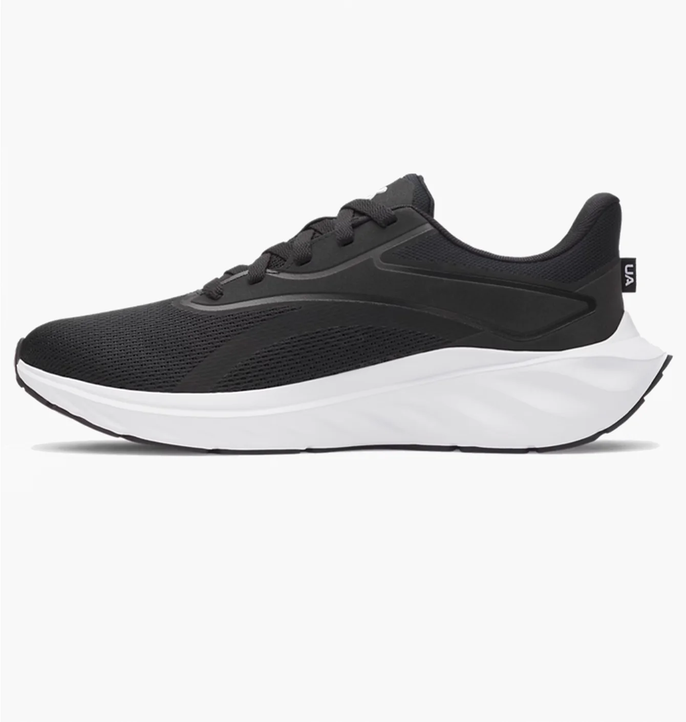 Кросівки чоловічі Under Armour Ascend Run Black 6009827-001