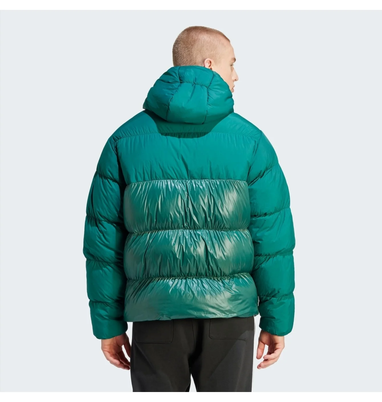 Пуховик чоловічий Adidas Adicolor Down Regen Hooded Puffer Jacket Green IL2566