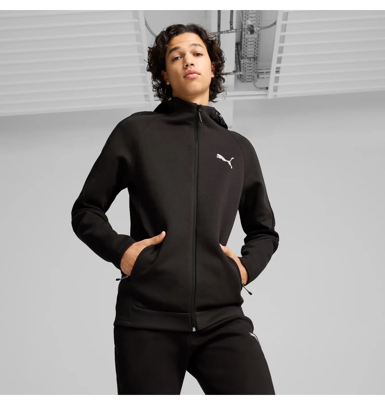 Толстовка чоловіча Puma Evostripe Black 681700-01