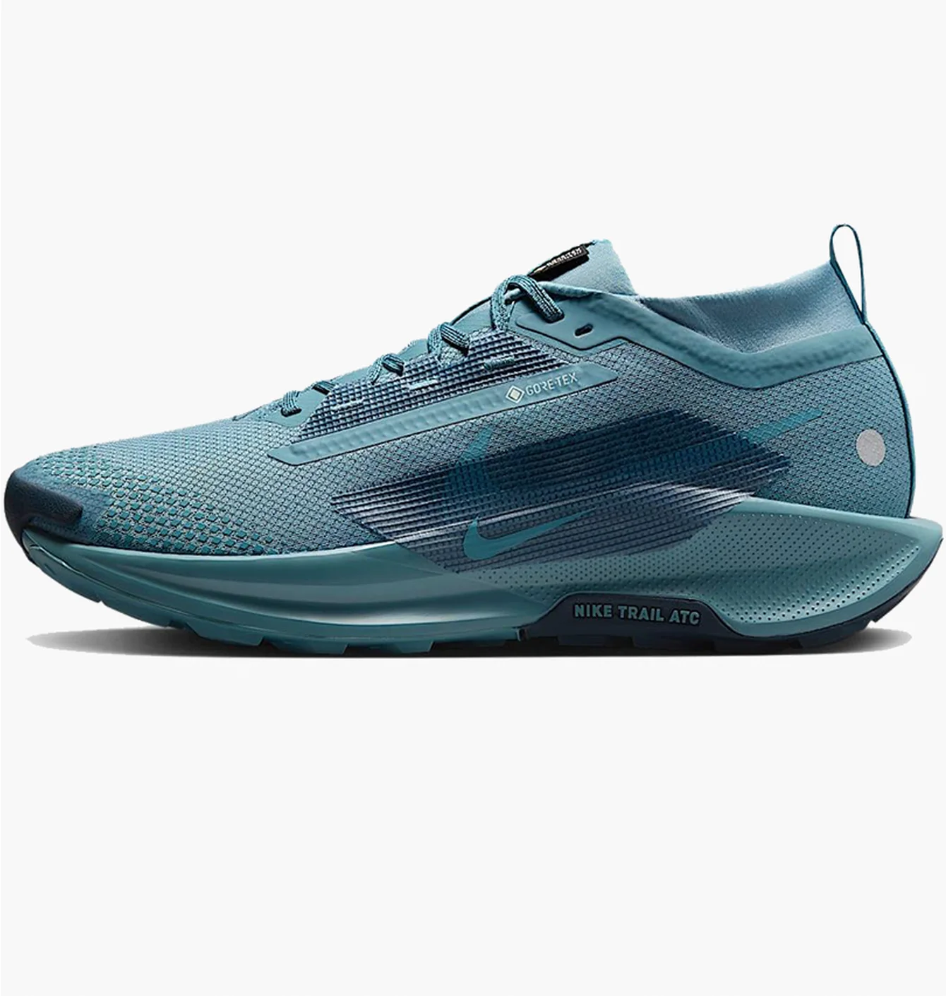 Кросівки чоловічі Nike Pegasus Trail 5 Gtx Blue FQ0908-005