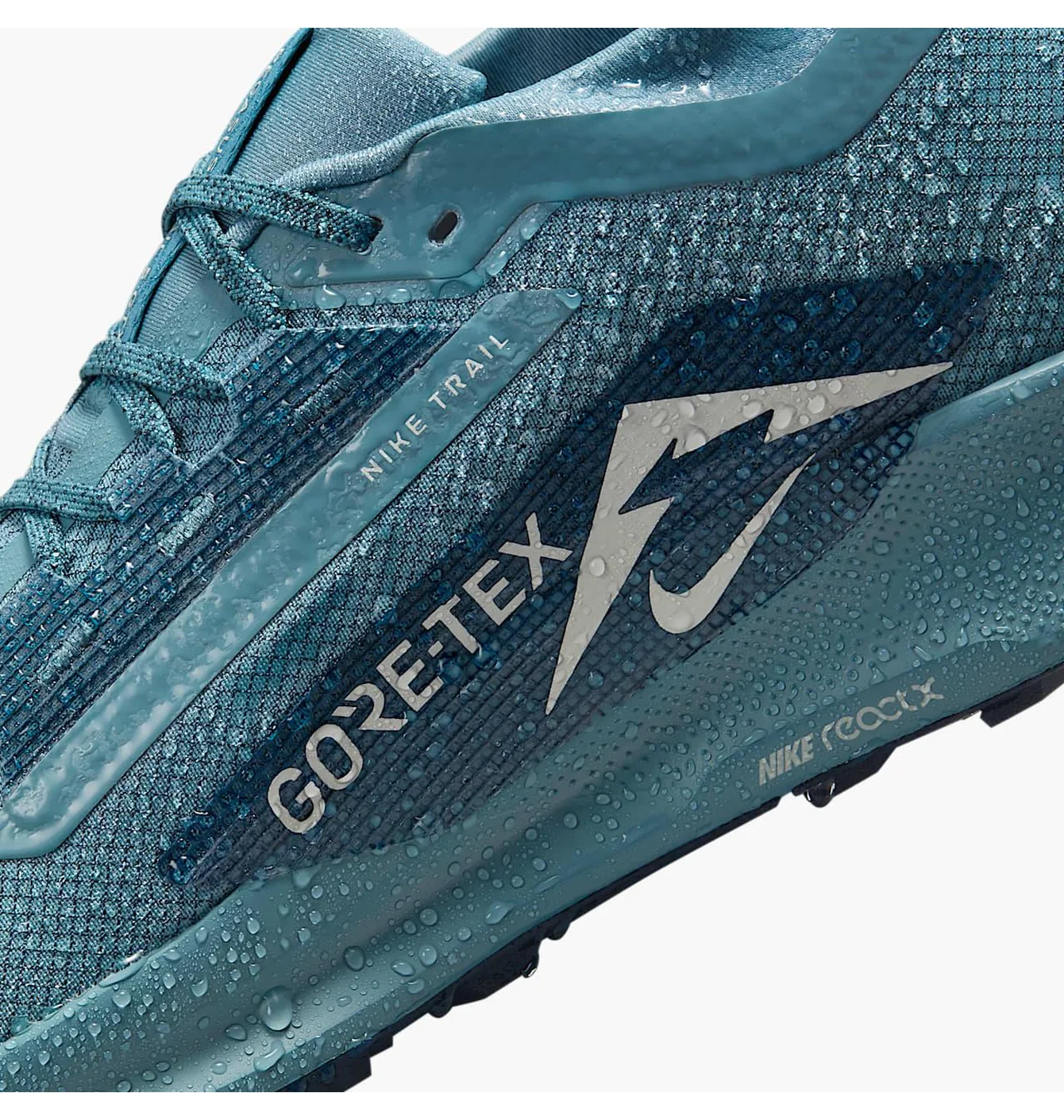 Кросівки чоловічі Nike Pegasus Trail 5 Gtx Blue FQ0908-005
