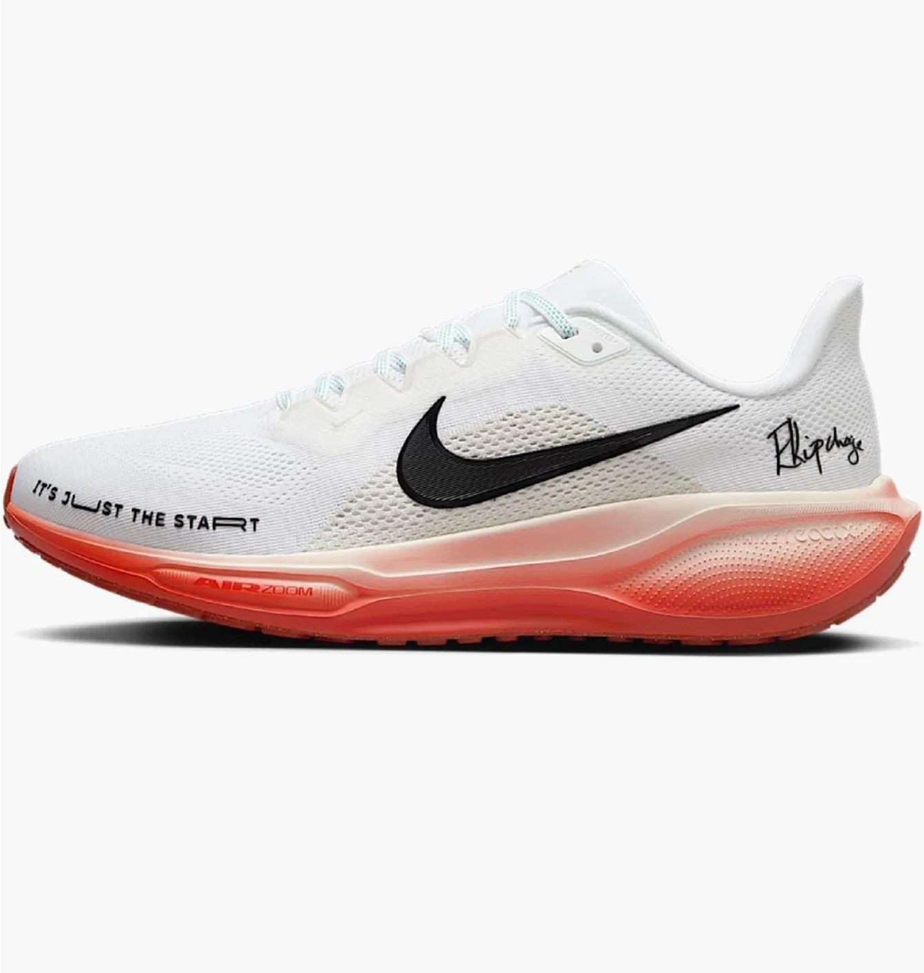 Кросівки чоловічі Nike Air Zoom Pegasus White HJ7037-100
