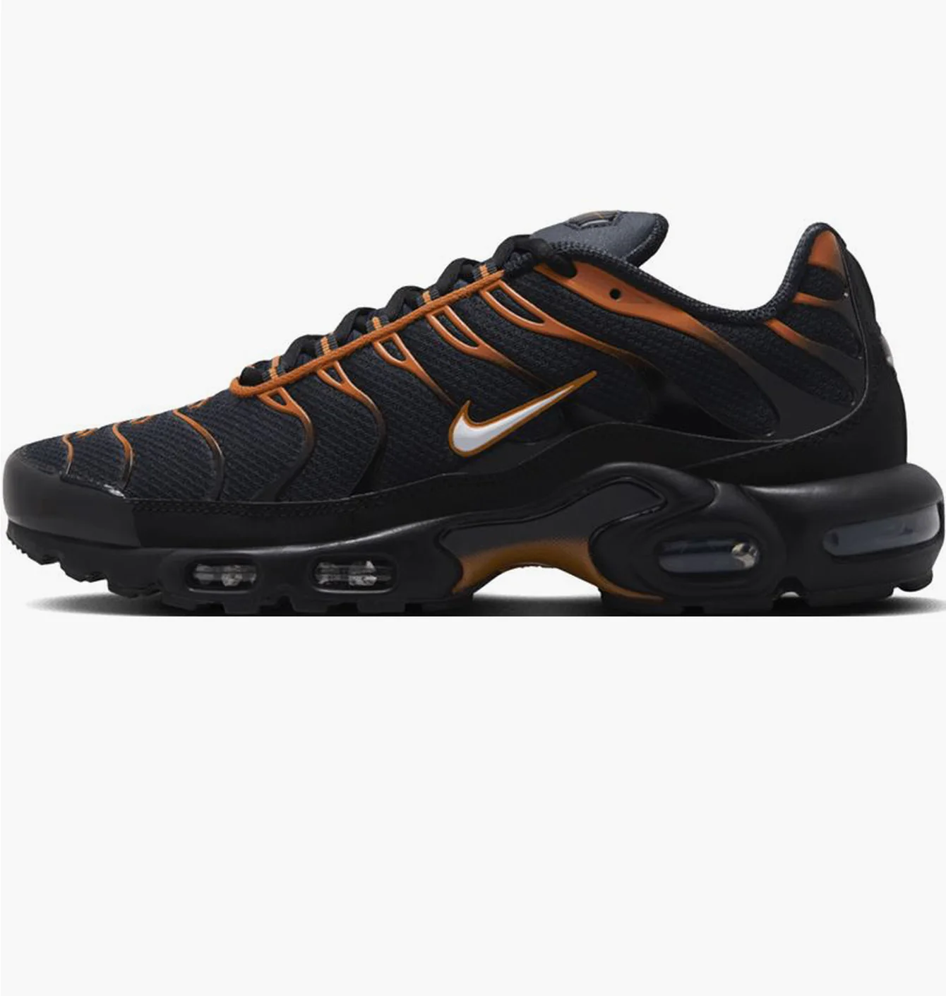 Кросівки чоловічі Nike Air Max Plus Black FN6949-400