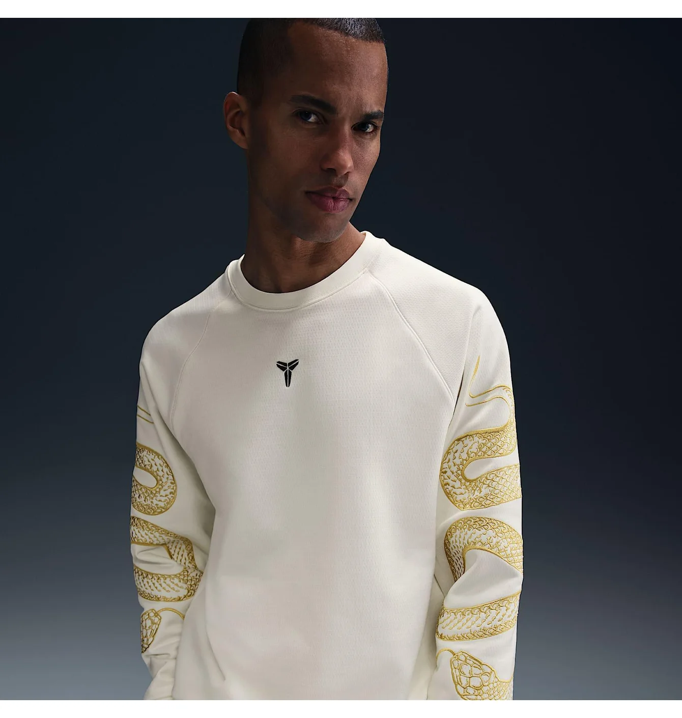 Світшот чоловічий Nike Kobe Therma-Fit Beige HQ4697-133