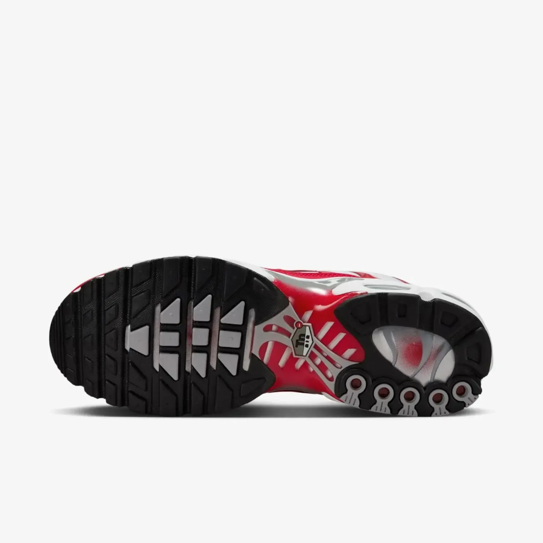 Кросівки чоловічі Nike Air Max Plus (IF6224-101)
