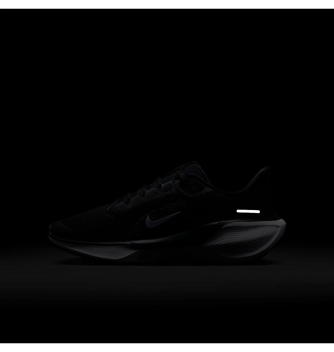 NIKE ZOOM PEGASUS 41 GS