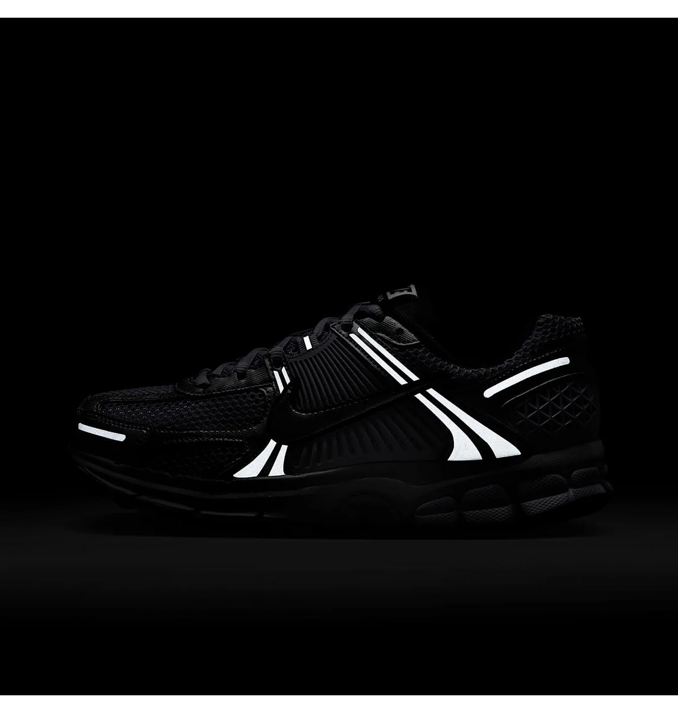 Кросівки жіночі Nike Air Zoom Vomero 5 Grey/Metallic IB7253-500