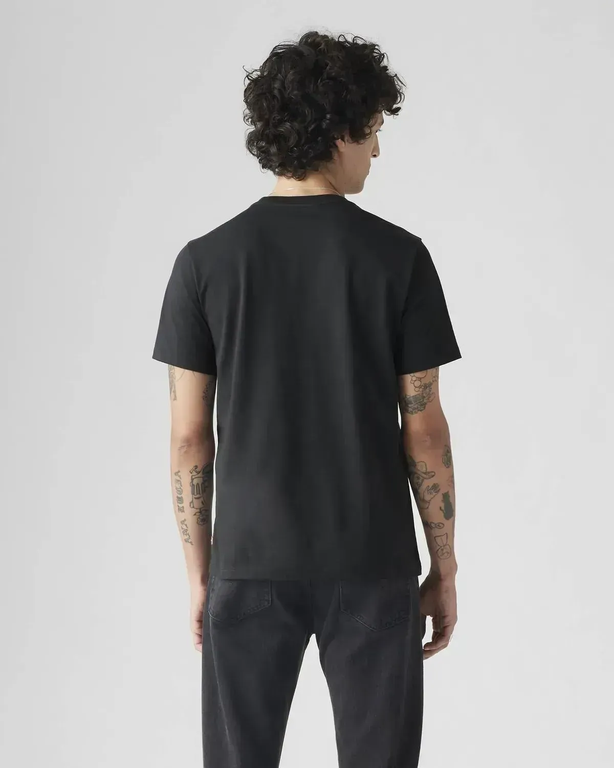 Футболка чоловіча Levis Standard Fit Classic Graphic T-Shirt (224911949)