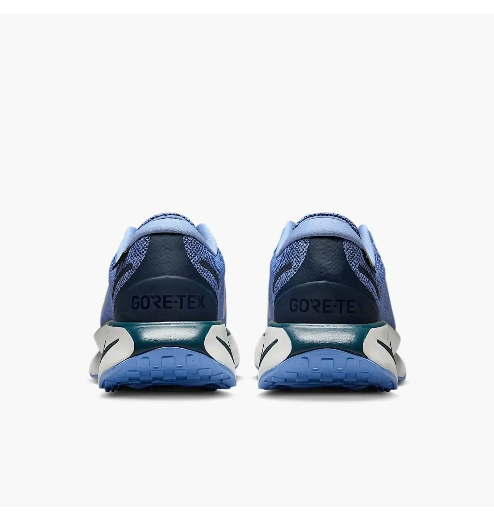 Кросівки жіночі Nike Motiva Gtx W Blue (HM0355-401)
