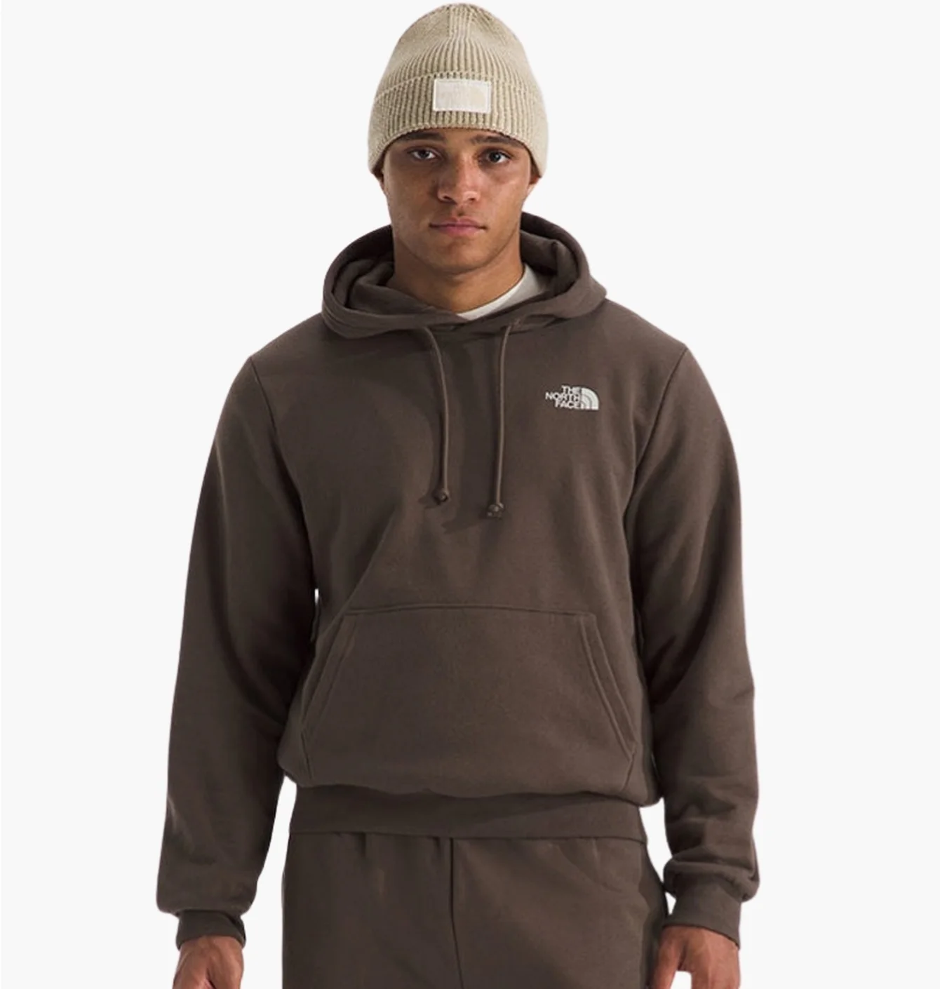 Худі чоловіче The North Face Evolution Nature Exposure Brown NF0A8E9B1OI