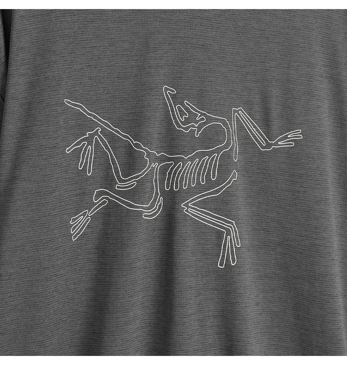 Лонгслів чоловічий Arc'teryx Cormac Logo Grey X000008452