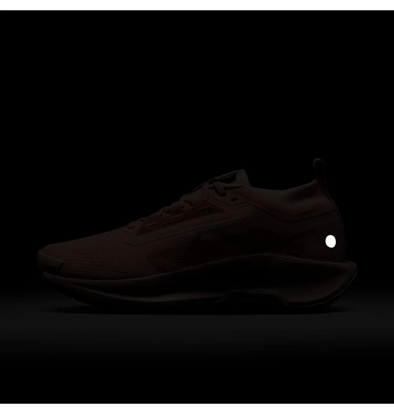 W NIKE PEGASUS TRAIL 5 GTX